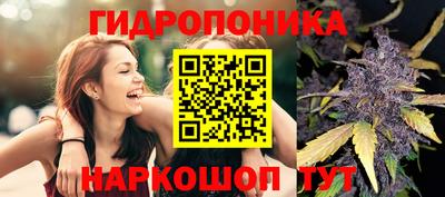 мдпв Мариинск