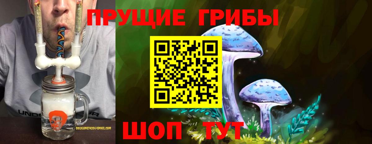 Галлюциногенные грибы прущие грибы  Вход с VPN  Ялта 